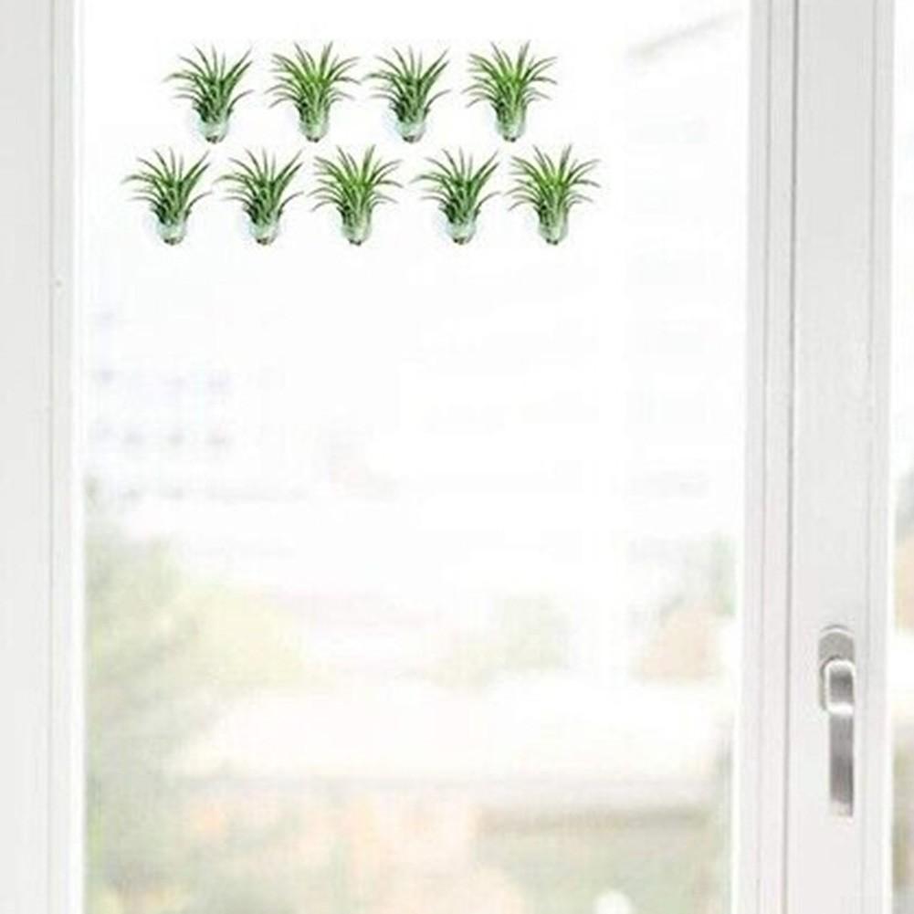 Office Plant Holder Reusable Strong Suction Tillandsia Stands
