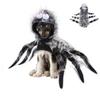 Pet Halloween Funny Spider Chest Back Creative Cat Dog Small Dog Transformation Costume