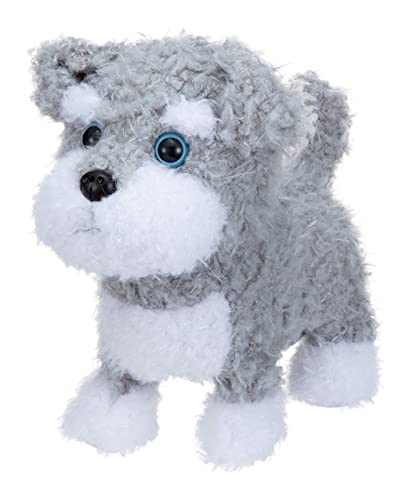 Iwaya One Training Together 1, 2, 3! Miniature Schnauzer