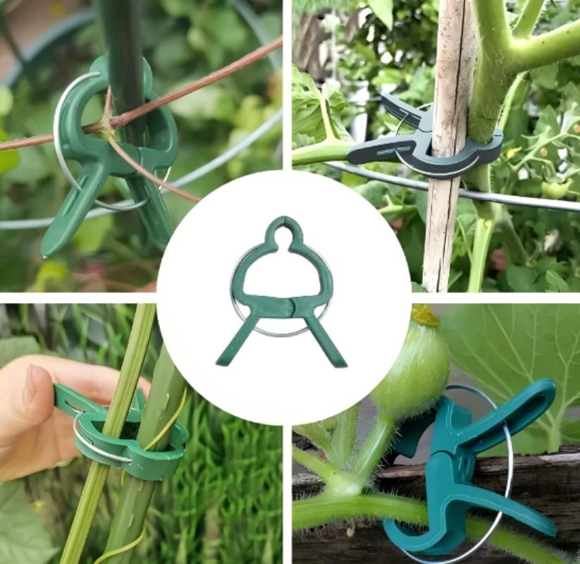 Plant Fixed Clips Reusable Garden Greenhouse Bracket Seedling Stem Support Fastener Garden Climbing Vines Vegetables Fixed Tool