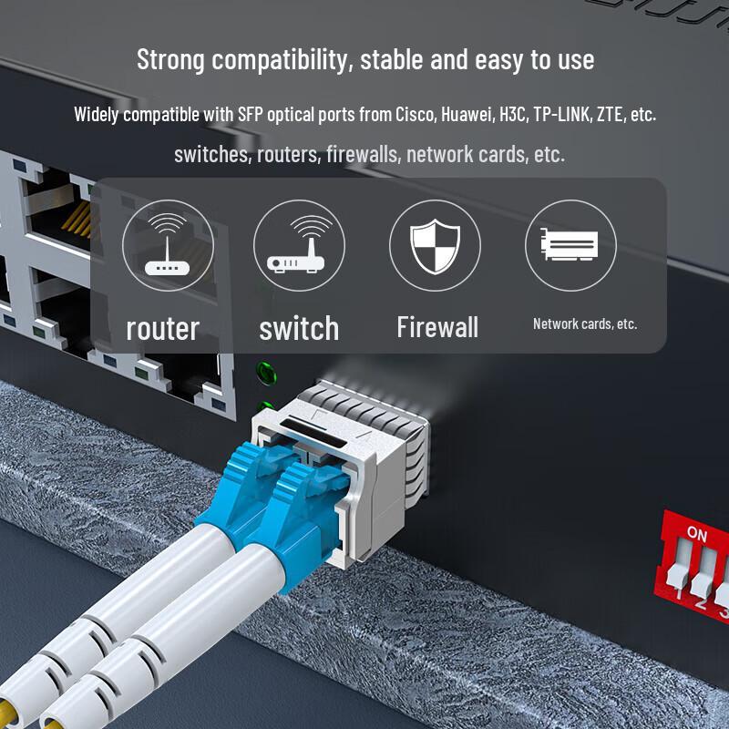 Shengwei 10G Fiber Optic Transceiver Module