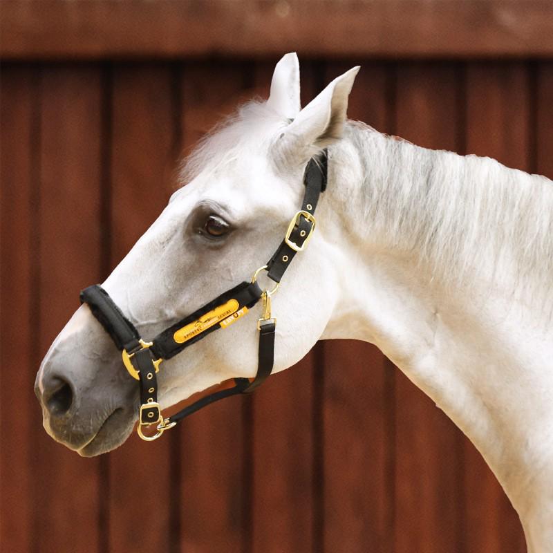 Halfterbezug für Pferde - Abriebfestes Reitsport-Trainingszubehör