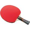 Butterfly Stay 3000 Table Tennis Racket with Rubber 16740