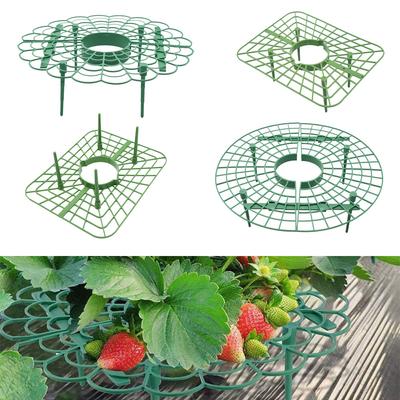 Erdbeerständer Rahmen Halter Balkon Pflanzregal Fruchthalter Pflanzen Blumen Kletterpflanzen Säule Gartenständer
