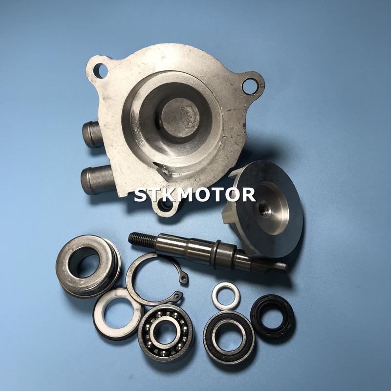 200C 250CC Water Cool Water Pump Assembly Set For Zongshen 200 250 ATV Quad Bike Parts