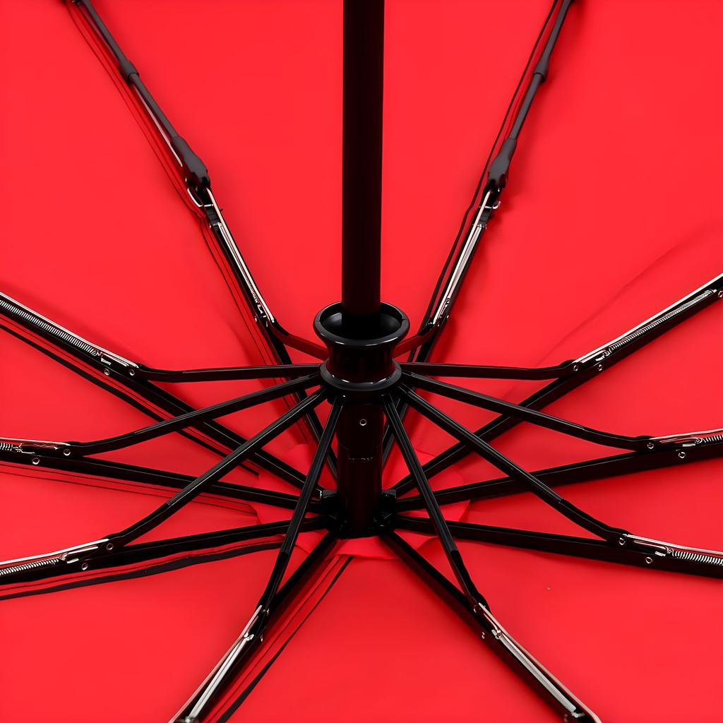 Umbrella Automatic double-layer umbrella 10 bone wind-resistant three-fold men's umbrella Umbrella plus