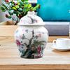 Ginger Jar Chinese Porcelain Temple Storage Vase with Lid for Living Room Bedroom