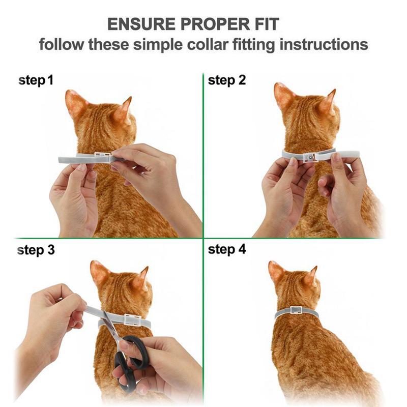 hypoallergenic cat collar