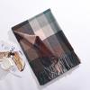 Korean Version New Rainbow Splicing Color Plaid Shawl Female Male Imitation Cashmere Long Scarf Women Men Warm Tassel Muffler
