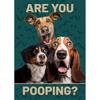 Animals Cat Dog Are You Pooping Funny Bathroom Sign Poster Print Canvas Painting Wall Art Picture for Toilet Home Bathroom Decor