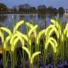 Solcelle Rævehale Lys LED Rævehale Græs Solcelledrevet Have Lys Dekorativ Lysende Rævehale Plante til Udendørs Gårdhave Terrasse Græsplæne