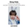 Stray Kids 2nd World Tour MANIAC ENCORE in JAPAN SAITAMA SUPER ARENA Official Photocard