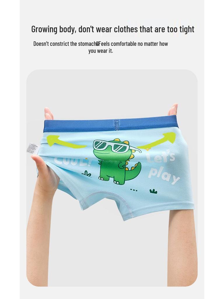 Clearance: Boys' Class A Cotton Boxer Briefs for Big Kids