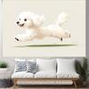 2D Flat Printing Poodle Dog Backdrop for Aesthetic Bedroom & Living Room