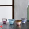 ADERIA Tsugaru Vidro Sake Akane Sora Made In A Stylish Gift for Housewarming Wedding Small Retirement Birthday Gold-Rimmed Cup, (85ml), Japan. Women,