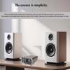 TPA3255 Digital Power Sound Car Amplifier Stereo Sound Amplifier for Home Theater Party Music 300W+300W Power Amplifier