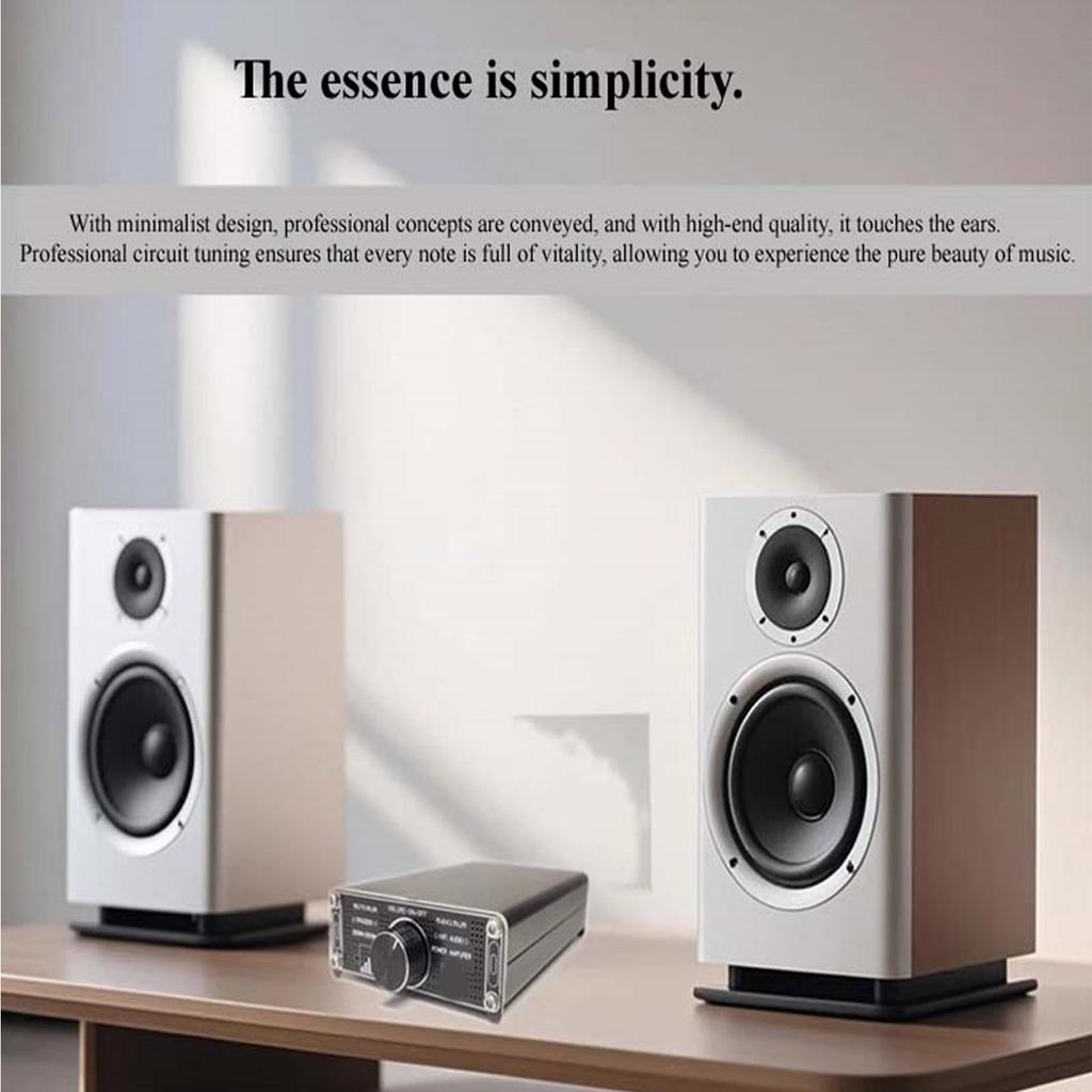 TPA3255 Digital Power Sound Car Amplifier Stereo Sound Amplifier for Home Theater Party Music 300W+300W Power Amplifier
