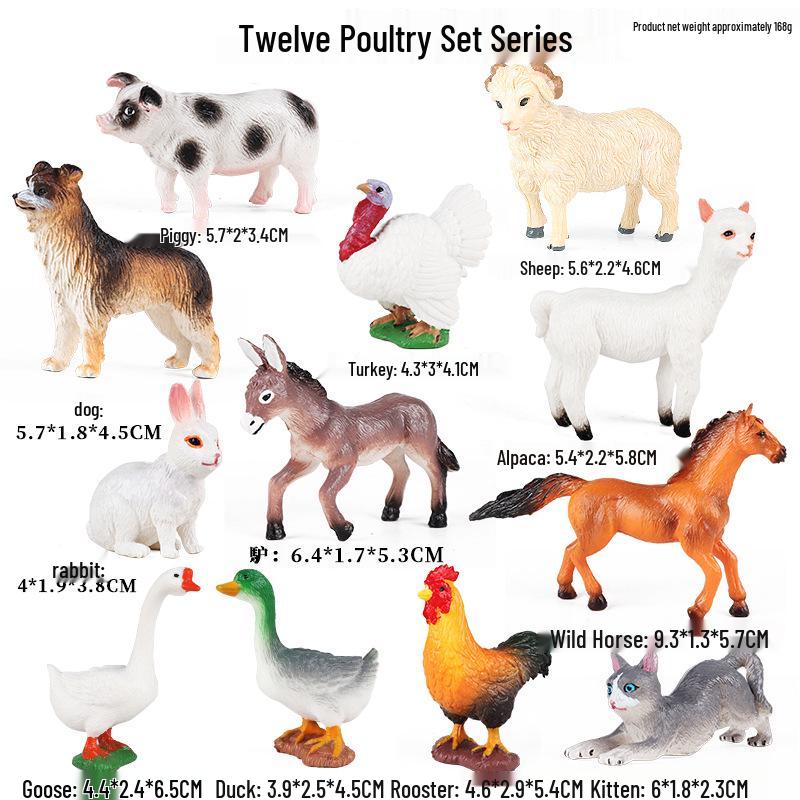 Mini Animal Growth Cycle Toys: Butterfly, Rooster, Ant, Frog, Sea Turtle, Dragonfly