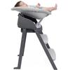 Newborn Seat - CHICCO - Crescendo - Reclinable - Grey