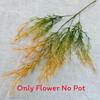 Artificial Arundinacea Phalaris Floral Decor For Living Room And Prop Photo