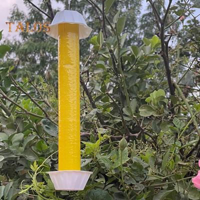 Flying Insects Sticky Trap Effective Eco-friendly Safe To Use Indoor Outdoor Use Fruit Fly Mosquito Catcher Trap