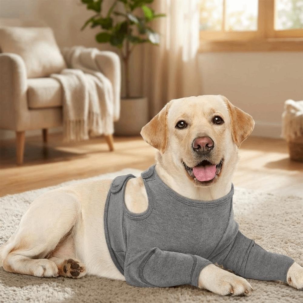 Atmungsaktiver Hundebeinschutz Langarm Professionelle Hundeledenbogenbandage Polyester Hohe Elastizität Hundekniepolster Postoperative Pflege