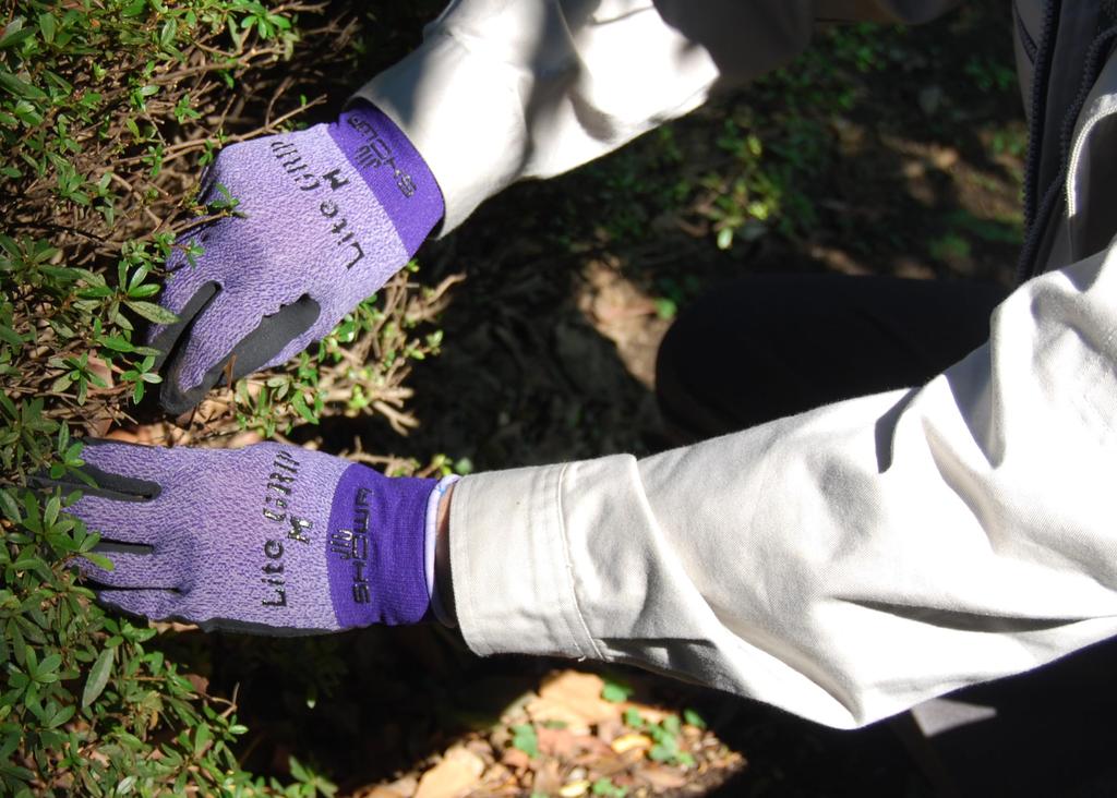 Showaglove Light Work Gloves 341 Light Grip 10 Pairs No. Purple, Medium,