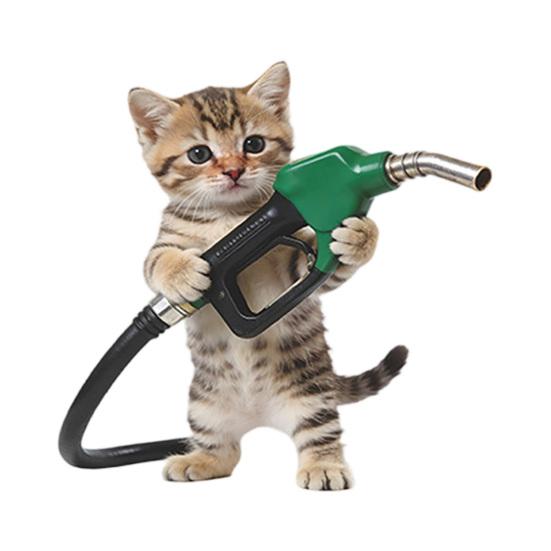 Fun Fuel Cap Sticker Cute Dog Cat Mouse Car Sticker Waterproof