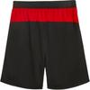 Puma X AC MILAN , LIANMINGKUAN ACMSHORTS SS25 DryCELL Soccer Bottom Men's Black/Red 779987-04