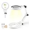 ZenCT Desktop Magnifying Glass [6x & 12x Magnification] with LED Light, USB Powered/Battery Operated, 11.2cm Diameter, 21 Lights, 2 Lens Types, Extend