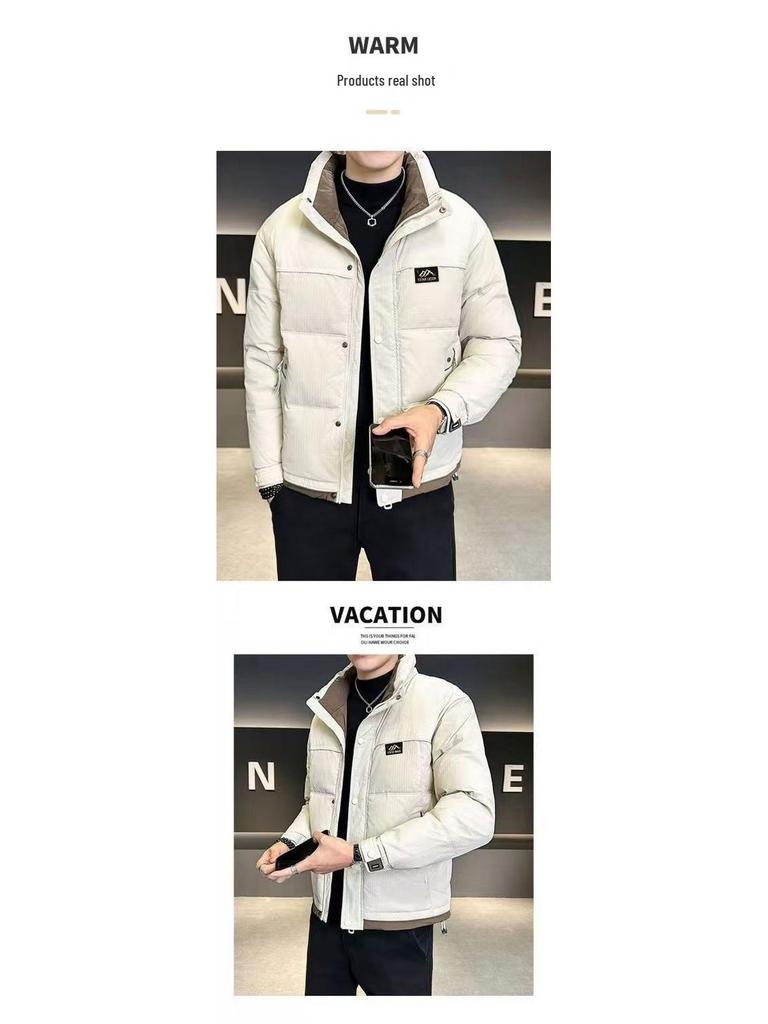 Echte Herren-Winter-Daunenjacke mit Stehkragen, schmaler Passform – Dicke, kurze Oberbekleidung