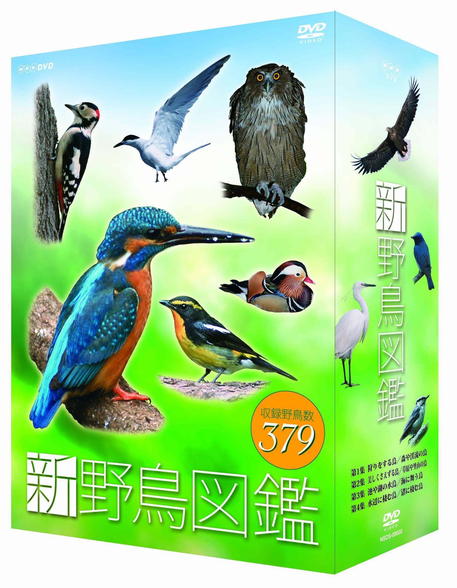 

New Wild Bird Encyclopedia set Square limited DVD-BOX 4-disc [NHK product]