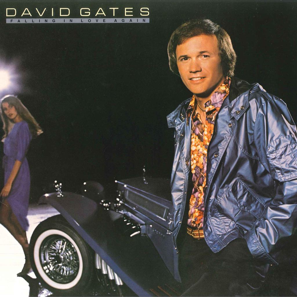 LP Record DAVID GATES - Falling In Love Again 6E251 ELEKTRA 1980 US Pop Used