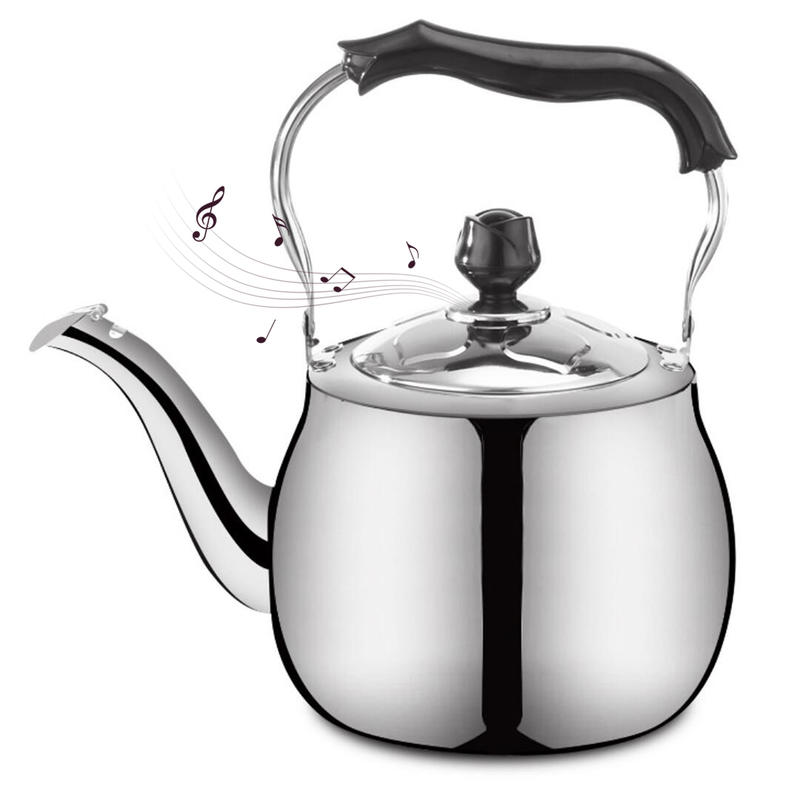 Stainless steel kettle with heat resistant handle for all kitchens for cooking on water | water kettles