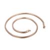 Trendy Simple Electroplated Titanium Steel Men's and Women's Round Snake Bone Necklace