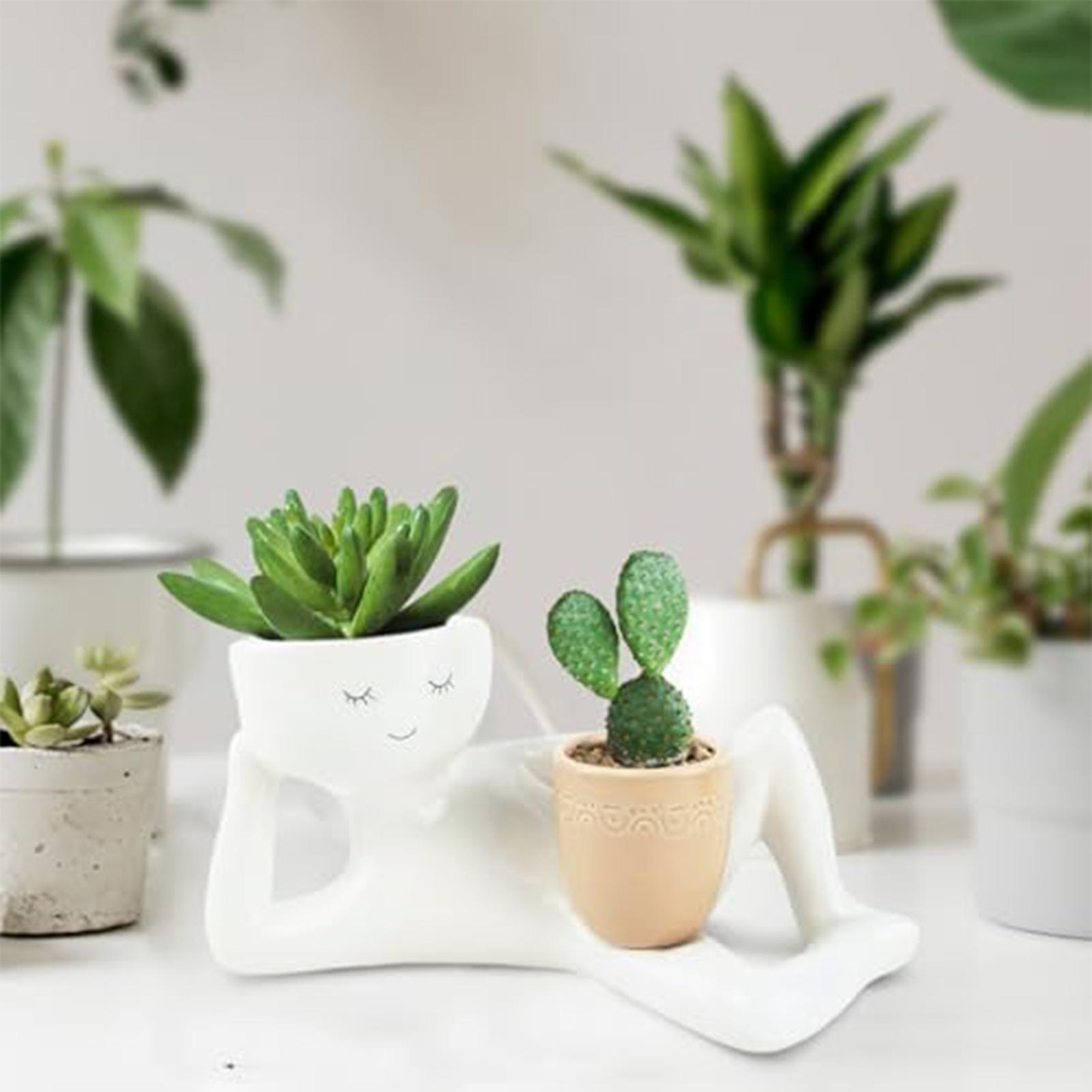 

Interesting Resin Flower Pots, Beautiful Lying Postures Of Plants And Cacti, Unique Garden Decoration Gifts One Size