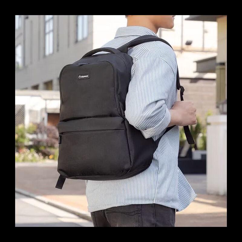 Diplomat DS-17003L Backpack