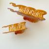 Simple Sweet Acetic Acid Hair Claw Bead Acrylic Oyster Shark Clip Korean Style Ocean Series Squid Hair Claw Holiday