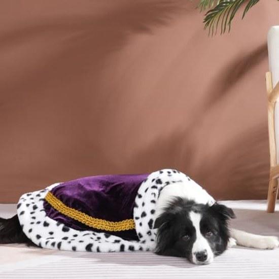 Lovelyshop Pet Luxfur Purple Mant Royal Style Regal Halloween Costume (for Cats Dogs) Size L