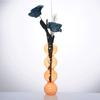 Simple Hydroponic Flower Pot Romantic Spherical Flower Vase Table Decoration Glass Vase  Gifts