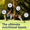 ZIWI Air Dry Dog Food Lamb 4kg