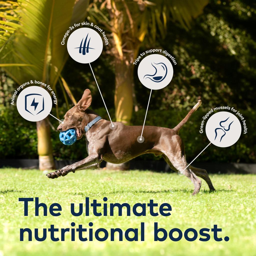 ZIWI Air Dry Dog Food Lamb 4kg