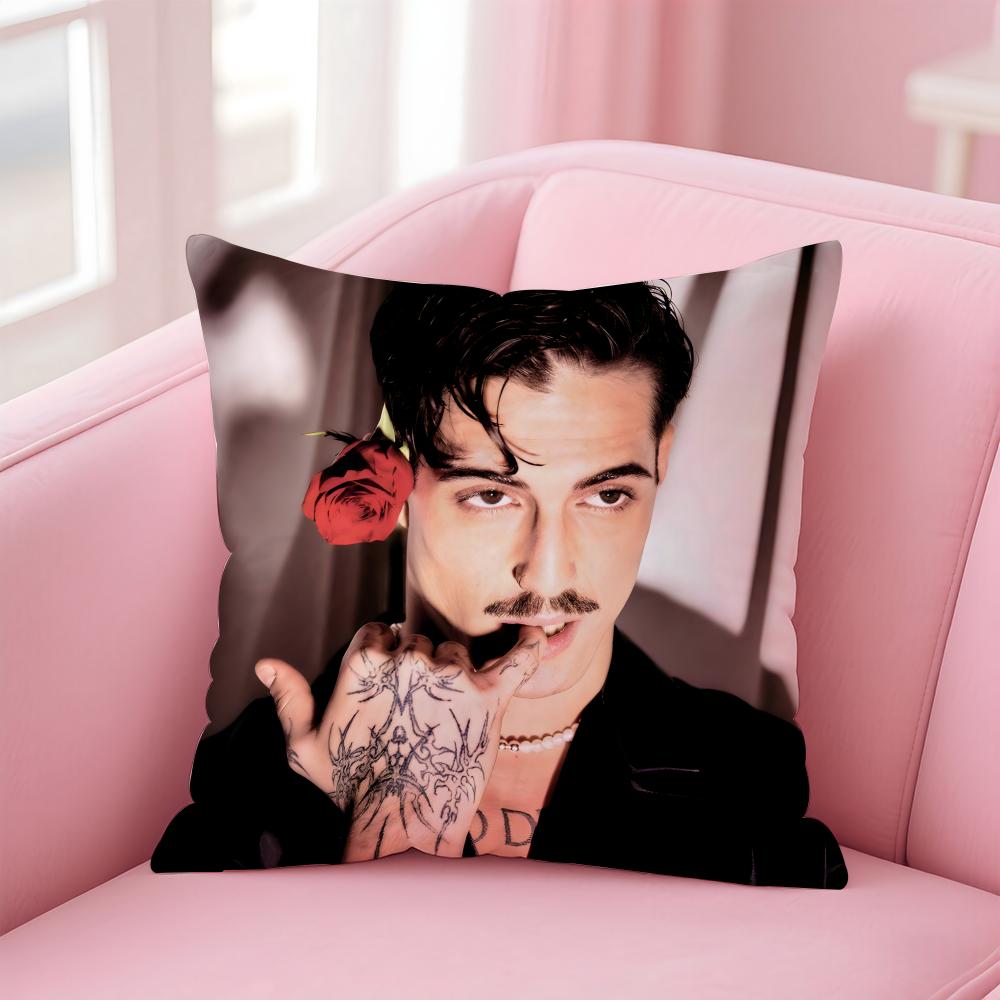 Singer D-Damiano D-David Cushion Cover Comfortable Reversible Pillow Cover Ideal for Car Sofa Bedroom & Beyond