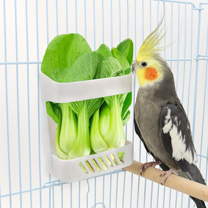 1PC Bird Fruit Vegetable Feeder Bowl, Parrot Feeding Holder Rack, Bird Feeders Pet Supplies