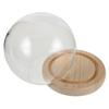 1 Set Round Glass Display Dome Cloche Wood Base Small For Preserved Flowers Figurines Decoration Transparent Dust-Proof Showcase