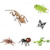 Insect Model Water Bug Toy With Plastic Material For Childrens Educational Play