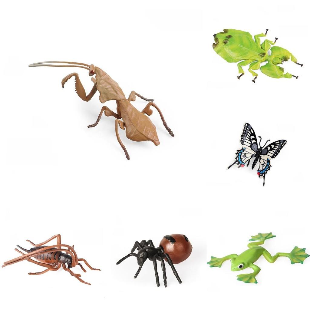 Insect Model Water Bug Toy With Plastic Material For Childrens Educational Play