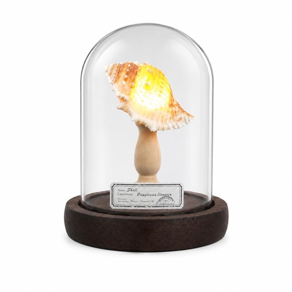 Handmade Shell Lamp Flicker Free Night Light DIY Material Desk Lamp Bedside Use Style-A