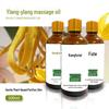 Aphrodisiac Ylang Ylang Aromatherapy Massage Oil - 100ml Essential Oil for Couples