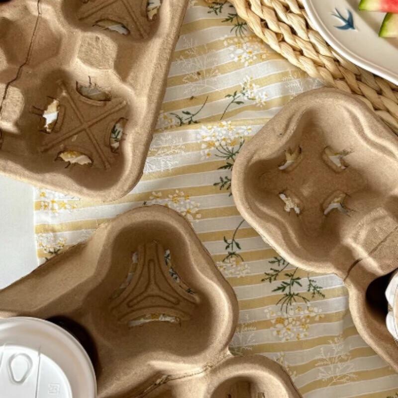 Disposable Pulp Tearable 4-Cup Carrier